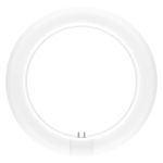 Ledvance Tubo LED T9 Value Circular (EM/Mains) 11W 1320lm - 865 Luz de Día | Reemplazo 22W