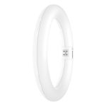 Osram Tubo LED T9 Circular (EM/Mains) 11W 1320lm - 840 Blanco Frio | Reemplazo 22W