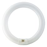 Osram T9 Lumilux Circline 32W - 840 Blanco Frio | 30cm