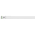 Philips MASTER LED Tube T8 (EM/Mains) Ultra Efficiency 11.9W 2500lm - 865 Luz De Día | 120cm - Reemplazo 36W