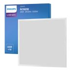 Philips Panel LED Ledinaire RC065B 28W 3400lm - 865 Luz De Día | 60x60cm - UGR <19