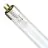 Philips T5 Short UV - C 6W - Ultravioleta | 21cm