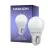 Noxion Lucent Lustre LED E27 Esférica Mate 2.5W 250lm - 827 Luz muy Cálida | Reemplazo 25W