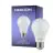Noxion Lucent Classic LED E27 Pera Mate 4.9W 480lm - 840 Blanco Frio | Reemplazo 40W