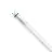 Philips Master Tubo LED T8 (EM/Mains) High Output T8 16.7W 3100lm - 865 Luz De Día | 150cm - Reemplazo 58W