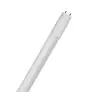 Ledvance Tubo LED T8 Superior (EM/Mains) Ultra Output 14W 2600lm - 840 Blanco Frio | 120cm - Reemplazo 36W - Techo Alto