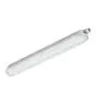 Philips Pantalla LED Estanca CoreLine WT120C 44W 6000lm - 840 Blanco Frio | 150cm 
