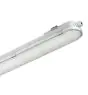 Philips Pantalla LED Estanca CoreLine WT120C G2 66W 8000lm - 840 Blanco Frio | 150cm - Luz De Emergencia 3 Horas 