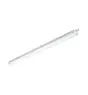 Philips Pantalla LED Estanca CoreLine WT120C Gen2 25/43W 3700/6000lm - 840 Blanco Frio | 150cm