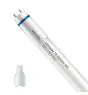 Philips Tubo LED T8 MASTER (EM/Mains) High Output 8W 1050lm - 840 Blanco Frio | 60cm - Reemplazo 18W
