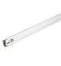 Philips T8 UV - C 55W - Ultravioleta | 90cm