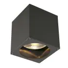 SLV Big Theo Techo Foco Aluminium Antracita | Al Aire Libre - IP44 - Apta para 1x GU10 Max. 75W - Regulable