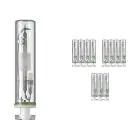 Multipack 12x Philips MASTERColour PGJ5 CDM-Tm Elite Mini 35W - 930 Luz Cálida | Mejor reproducción de color