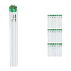 Multipack 25x Philips MASTER TL-D Actinic BL 18W - Ultravioleta | 60cm