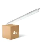 Multipack 4x Philips Pantalla LED Estanca CoreLine WT120C G2 29W 4000lm - 840 Blanco Frio | 120cm 