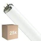 Multipack 25x Philips T8 Flexo print 40W | 60cm - UVA