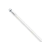 Philips Master Tubo LED T8 (EM/Mains) High Output T8 7.6W 1150lm - 840 Blanco Frio | 60cm - Reemplazo 18W