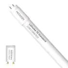 Noxion Tubo LED T8 Avant (EM/Mains) Standard Output 19W 2300lm - 830 Luz Cálida | 150cm - Reemplazo 58W