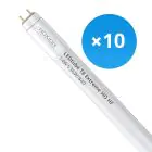 Multipack 10x Noxion Tubo LED T8 Avant Extreme (HF) High Output 14W 2100lm - 840 Blanco Frio | 120cm - Reemplazo 36W