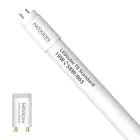 Noxion Tubo LED T8 Avant (EM/Mains) Standard Output 19W 2300lm - 865 Luz De Día | 150cm - Reemplazo 58W